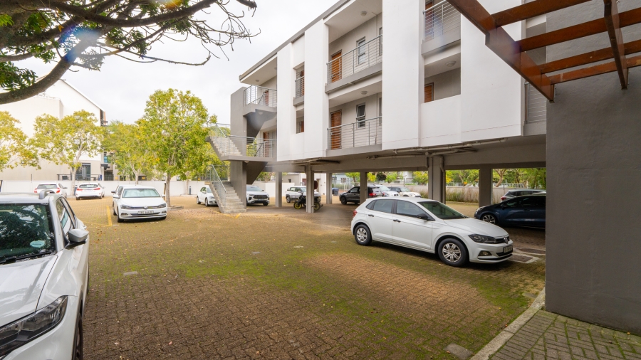 To Let 0 Bedroom Property for Rent in Stellenbosch Central Western Cape